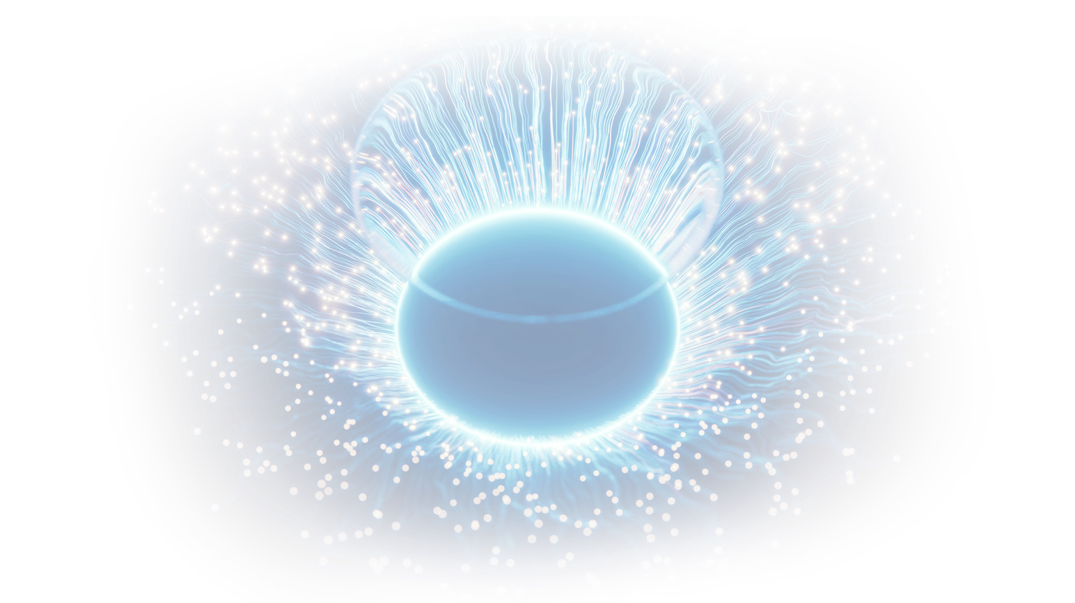 auto_measured_AI_back