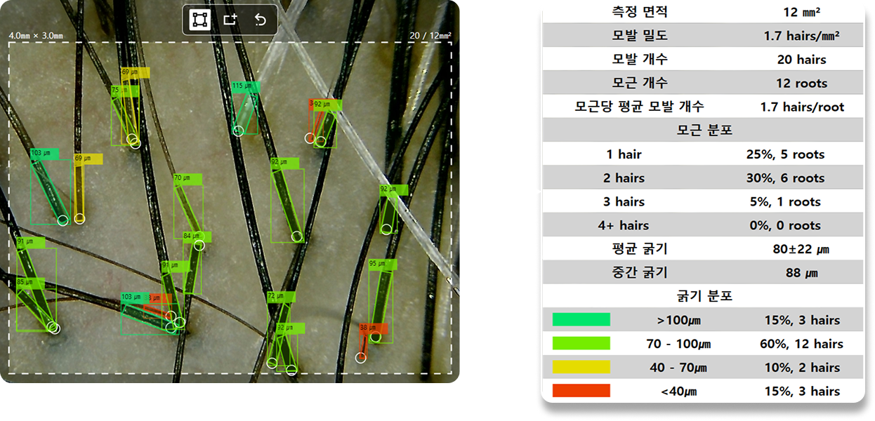auto_measured_AI_kor